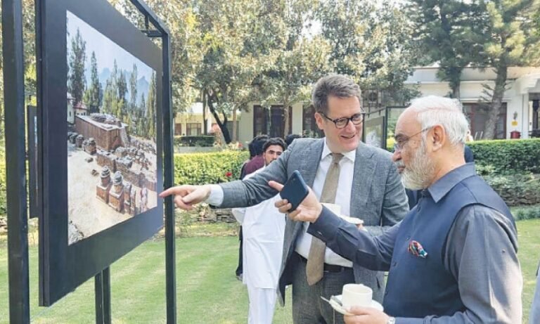 Resilience and Rupture: Institutional Limits of Knowledge Diplomacy in Pakistan–Italy Relations, 1948–1999
