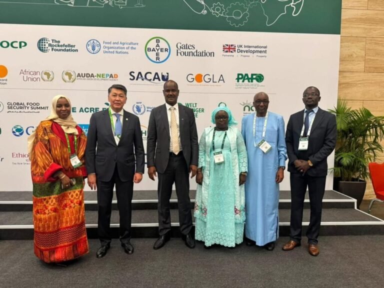 IOFS Chief Calls for Greater Investment in Africa’s Food Security