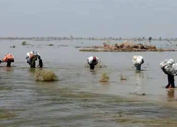 Pakistan Cannot Build Climate Resilience from Islamabad Alone